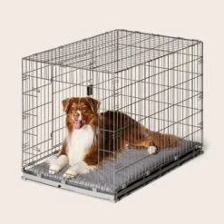 2-in-1 Convertible Training Crate -Snooza Sales Store 2 in 1 Convertible Training Crate 1