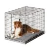 2-in-1 Convertible Training Crate -Snooza Sales Store 2 in 1 convertible training crate 230807