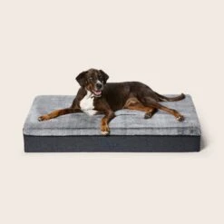 Big Dog Bed -Snooza Sales Store Big Dog Bed 1