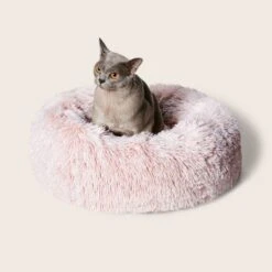 Calming Cuddler Cat Bed 41 Calming Cuddler Cat Bed -Snooza Sales Store Calming Cuddler Cat Bed Bliss