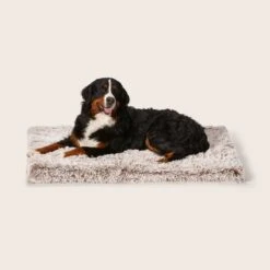 Calming Orthobed -Snooza Sales Store Calming Orthobed Mink 1