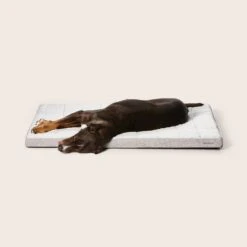 Cooling Comfort Orthobed -Snooza Sales Store Cooling Comfort Orthobed