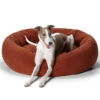 Self-Warming Cuddler Dog Bed 1 Self-Warming Cuddler Dog Bed -Snooza Sales Store Cuddler Self Heating Paprika XL 18284 1