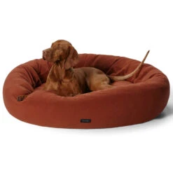Self-Warming Cuddler Dog Bed -Snooza Sales Store Cuddler Self Heating Paprika XL 18394 1 1a18ec6f ea30 4484 a9c4 4e11f20f2d2a
