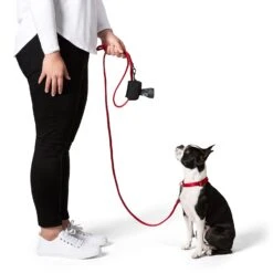 Doo Doo Good Eco Bag Dispenser 16 Doo Doo Good Eco Bag Dispenser -Snooza Sales Store Doo Doo Good Eco Bag Dispenser Preview