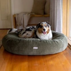 Dream Cloud Luxe Dog Bed