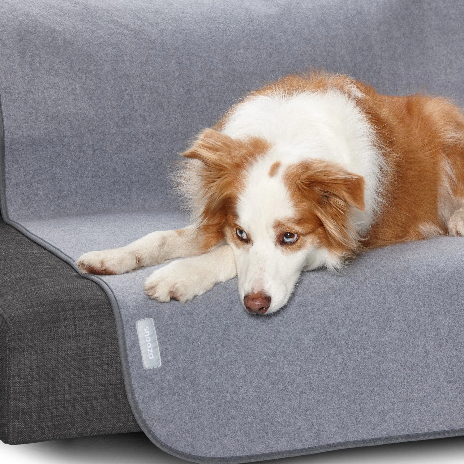 Waterproof Furniture Protector Blanket 4 Waterproof Furniture Protector Blanket - Image 2