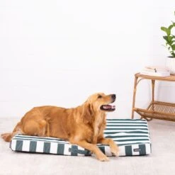 Alfresco Dream Orthobed -Snooza Sales Store Green Alfresco Luna