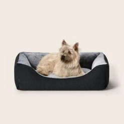 Low Front Ortho Snuggler Indoor/Outdoor 17 Low Front Ortho Snuggler Indoor/Outdoor -Snooza Sales Store Low Front Ortho Snuggler 1