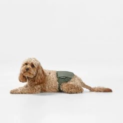 Washable Dog Nappy Band - Twin Pack For Male Dogs -Snooza Sales Store NappyBand Green S 19212