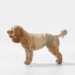 Washable Dog Nappy - Twin Pack For Female Dogs -Snooza Sales Store NappyPant Taupe S 19131