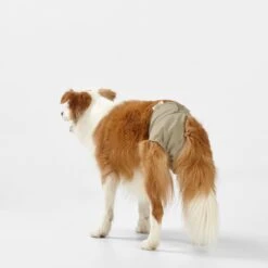 Washable Dog Nappy - Twin Pack For Female Dogs -Snooza Sales Store Nappy Pant Taupe L 19471