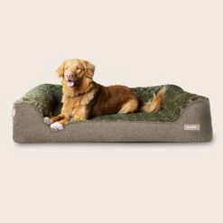 Ortho Dream Sofa -Snooza Sales Store Ortho Dream Sofa Leaf