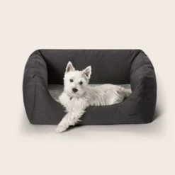 Ortho Nestler - Indoor Outdoor