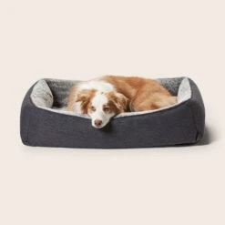 Ortho Snuggler Dog Bed -Snooza Sales Store Ortho Snuggler Dog Bed Chinchilla 1