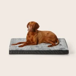 Orthobed Indoor/Outdoor 21 Orthobed Indoor/Outdoor -Snooza Sales Store Orthobed Indoor Outdoor 1