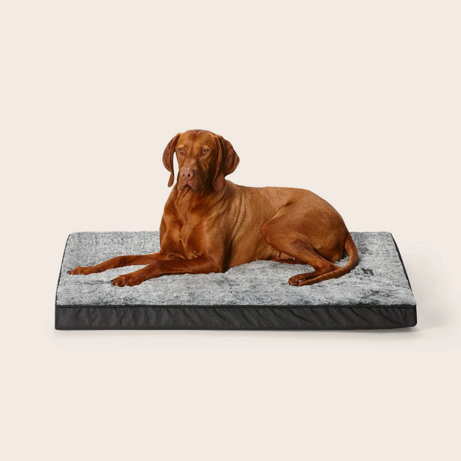 Orthobed Indoor/Outdoor 12 Orthobed Indoor/Outdoor - Image 10