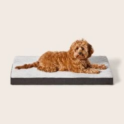 Plush Orthobed -Snooza Sales Store Plush Orthobed 1