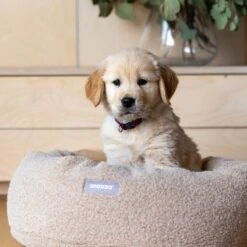 Self-Heating Cuddler Dog Bed -Snooza Sales Store Self Warming Cuddler 11