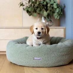 Self-Heating Cuddler Dog Bed