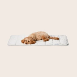 Cooling Comfort Blanket -Snooza Sales Store Snooza Cooling Comfort Blanket 1
