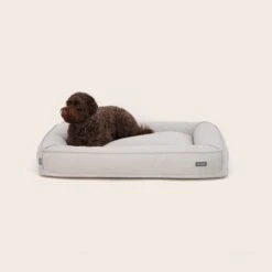 The Snug Dog Bed -Snooza Sales Store Snug Dog Bed Silver 01