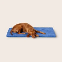 Stay Dry Mat -Snooza Sales Store Stay Dry Mat Blue 5