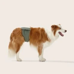 Washable Dog Nappy Band - Twin Pack For Male Dogs -Snooza Sales Store Washable Dog Nappy M1