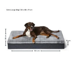 Big Dog Bed -Snooza Sales Store big dog bed 482007