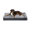 Big Dog Bed -Snooza Sales Store big dog bed 859703