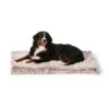 Calming Orthobed -Snooza Sales Store calming orthobed 469082