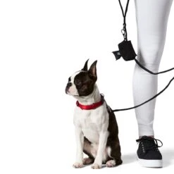 Doo Doo Good Eco Bags -Snooza Sales Store doo doo good eco bags 281413