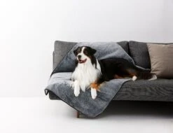 Dry Luxe Blanket 18 Dry Luxe Blanket -Snooza Sales Store dry luxe chinchilla packaging 1 0268