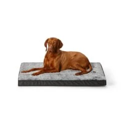 Orthobed Indoor/Outdoor