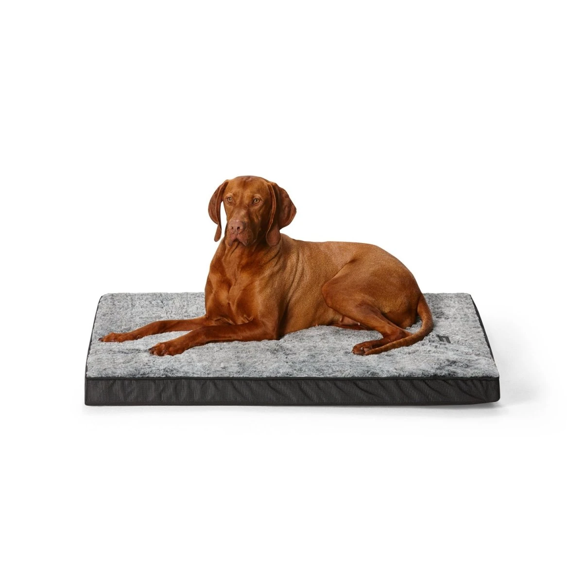 Orthobed Indoor/Outdoor 3 Orthobed Indoor/Outdoor