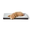 Plush Orthobed -Snooza Sales Store orthobed plush grey 213895
