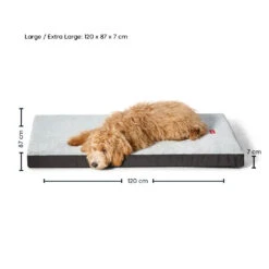 Plush Orthobed -Snooza Sales Store orthobed plush grey 434458