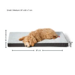 Plush Orthobed -Snooza Sales Store orthobed plush grey 502680