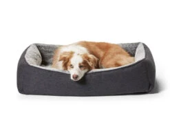 Ortho Snuggler Dog Bed -Snooza Sales Store snuggler chinchilla 579969