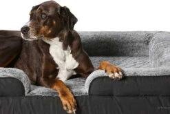 Ultra-Tuff Ortho Retreat -Snooza Sales Store ultra tuff ortho retreat 592408