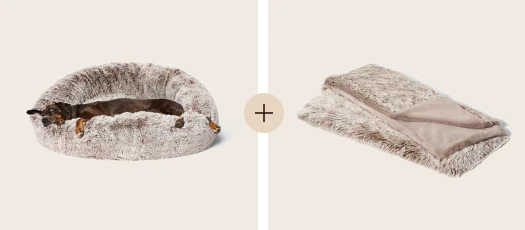 Snooza Sales Store -Snooza Sales Store Group 10122949 1