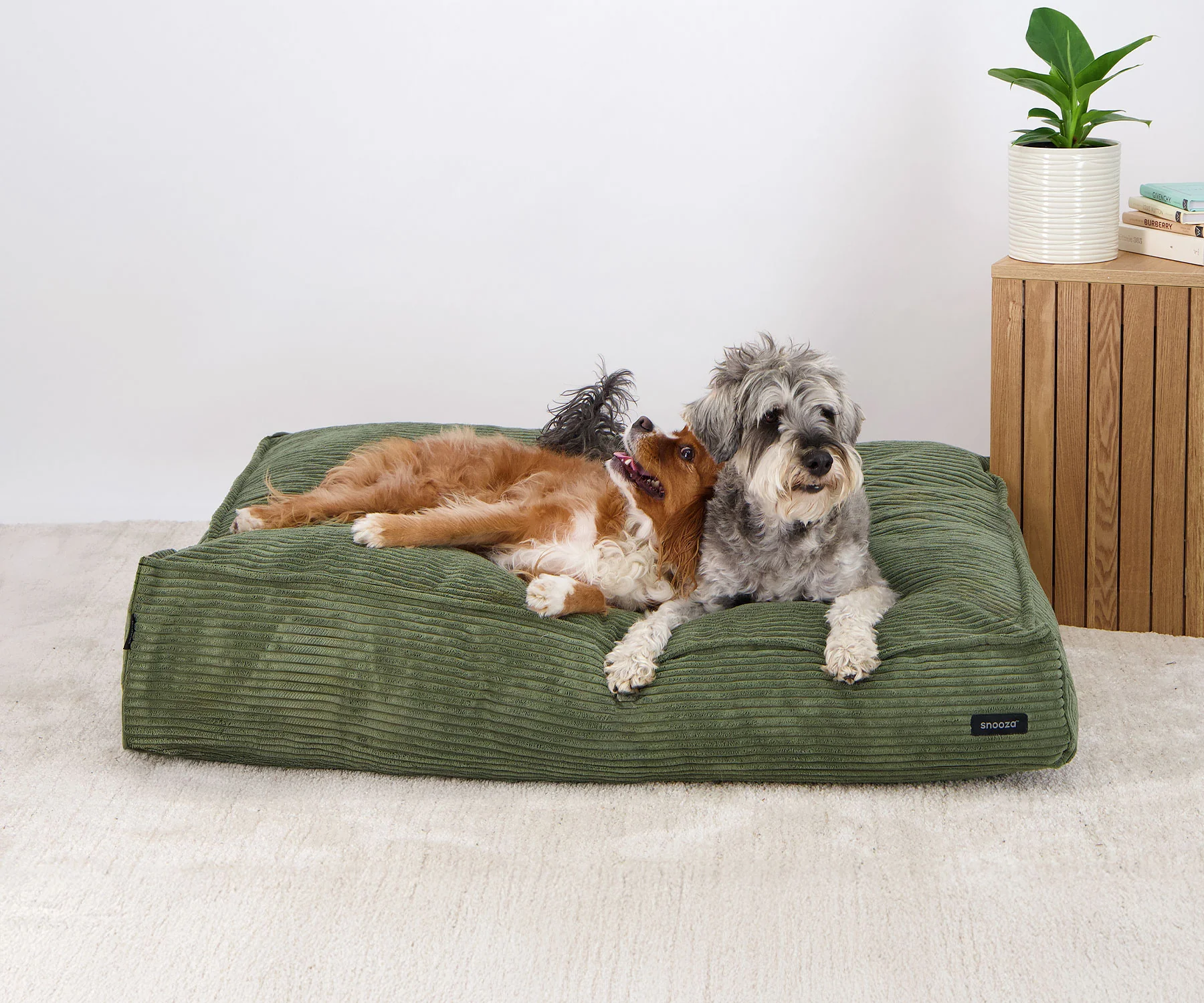 Snooza Sales Store -Snooza Sales Store The Loft Dog Bed Lifestyle Released v3