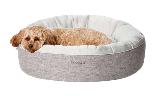 Snooza Sales Store -Snooza Sales Store cooling dog beds only at snooza e6978dcc 6fea 4e8e 97ec 3e2ab37db54b
