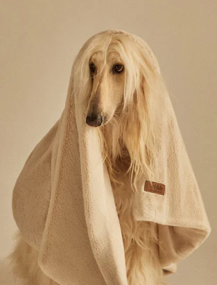 Snooza Sales Store -Snooza Sales Store dog bed 5