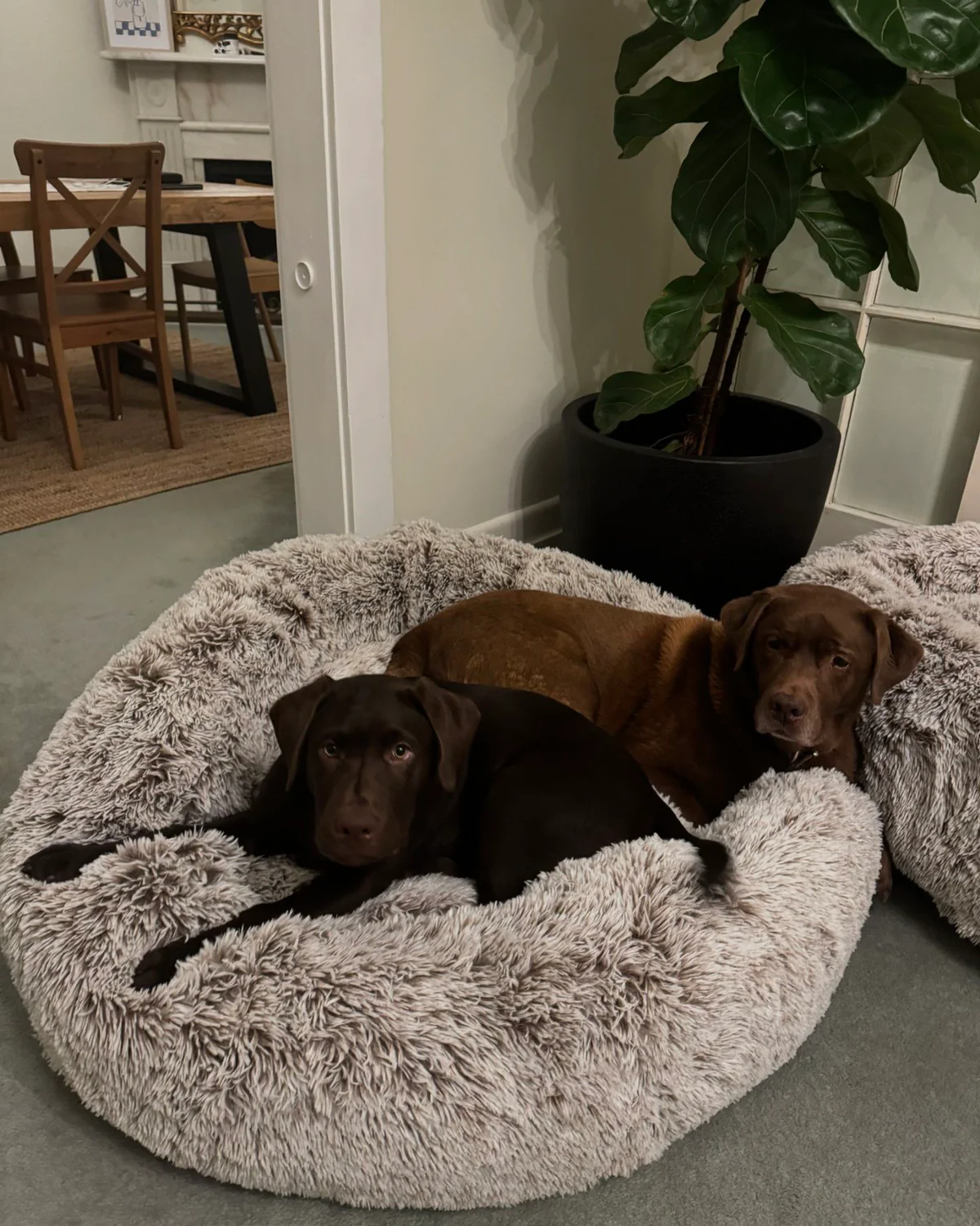 Snooza Sales Store -Snooza Sales Store labs