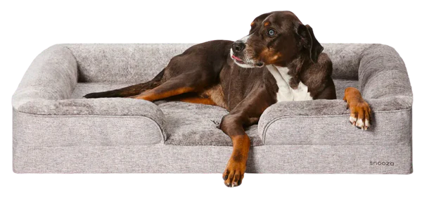 Snooza Sales Store -Snooza Sales Store ortho 2 cd9bd9a1 7ef5 401b a088 07b56457a420