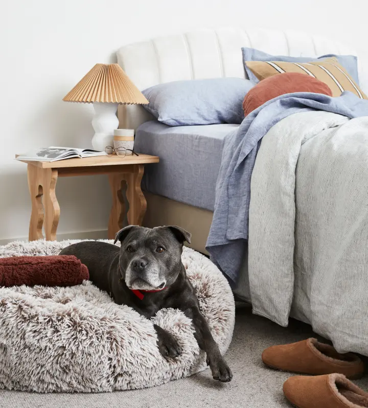 Snooza Sales Store -Snooza Sales Store winter ready bundle